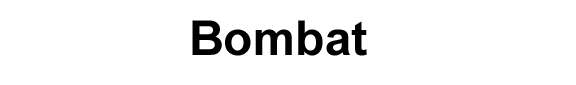 Copyright 2007 BSR, Inc.